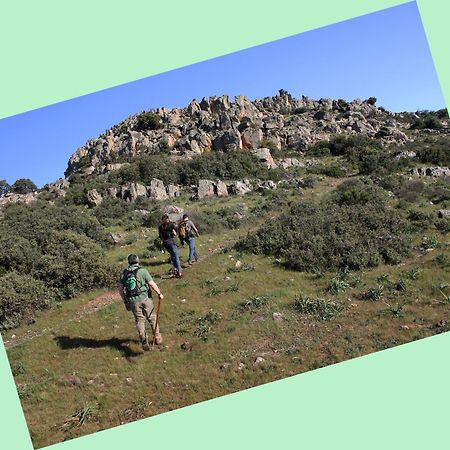 شقة Complejo Turistico Rural Fuente Taray Malagón المظهر الخارجي الصورة