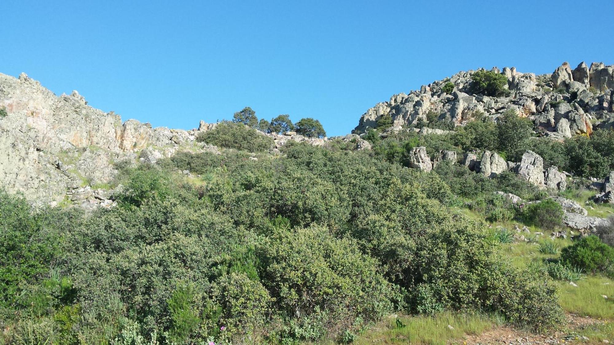 شقة Complejo Turistico Rural Fuente Taray Malagón المظهر الخارجي الصورة
