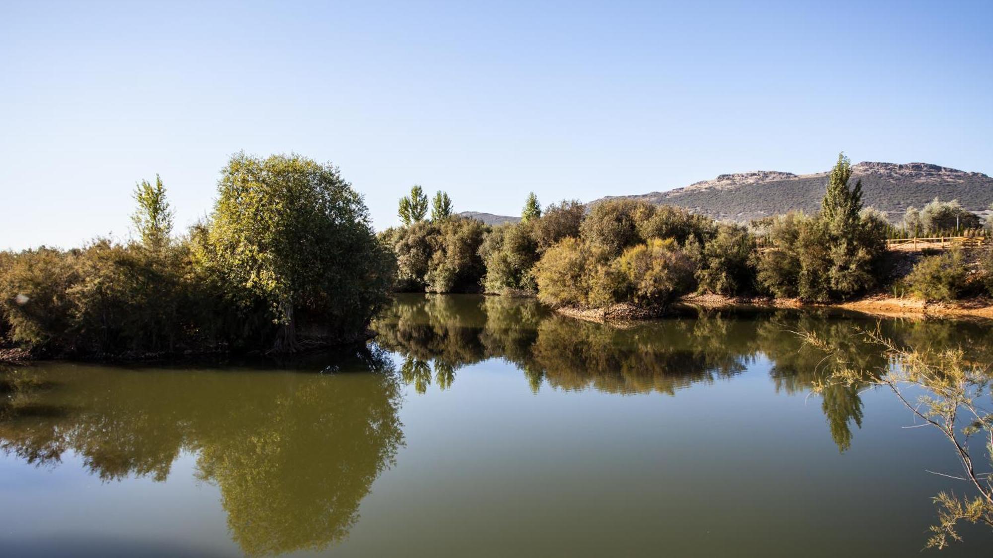 شقة Complejo Turistico Rural Fuente Taray Malagón المظهر الخارجي الصورة
